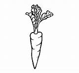 Zanahoria Pastanaga Imprimir Zanahorias Dibuixos Dibujar Verduras Dibuix Cdn5 Verdures sketch template