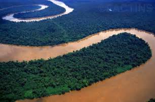 amazon river wonderful creatures factins