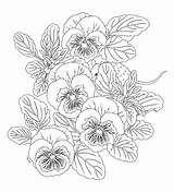 Coloring Pages Harmony Nature Adult Book Issuu Flower Books Color Spring Templates Adulte Dessin Printable Patterns Flowers Colouring Drawing Pg sketch template