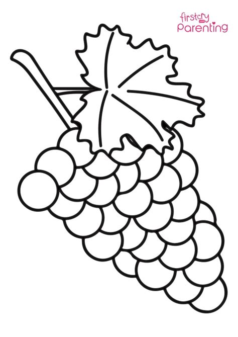 easy grapes coloring page  kids firstcry parenting