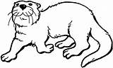 Otter Coloring Pages Otters River Clip Color Printable Print Kids Drawing Super Clipartbest Getdrawings Supercoloring Book Line Nutria sketch template