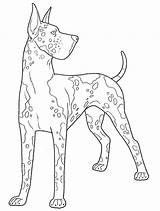 Coloring Pages Dane Great Dog Color Colouring German Adult Scottish Drawing Dogs Printable Kids Animal Drawings Publications Dover Terrier Doverpublications sketch template