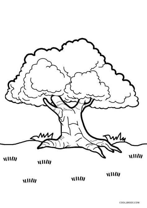 printable tree coloring pages  kids coolbkids coloring