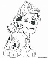 Paw Patrol Coloring Marshall Pages Drawing Print Printable Draw Colouring Sheets Sky Color Colorare Da Birthday Drawings Sheet Kids Pdf sketch template