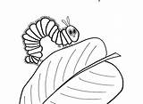 Caterpillar Hungry Very Coloring Pages Drawing Colouring Sheets Printables Shark Getdrawings Clipartmag sketch template