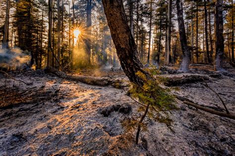 grand canyon national park nature photography