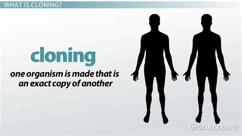 🌷 advantages of human cloning reproductive cloning advantages
