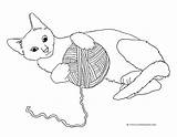 Cat Playing Yarn Coloring Pages Ball Cats Kittens Clipartqueen Touch sketch template
