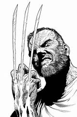 Old Man Mcniven Wolverine Logan Marvel Comic Wizard Cover Comics Coloring Behance Steve Steven Artists Books Book Dc Vines Dexter sketch template