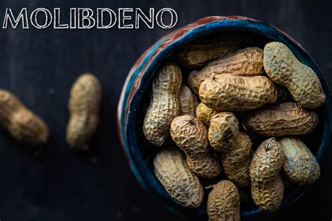 molibdeno funzioni carenza salute alimenti