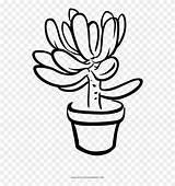 Coloring Succulent Clipart Pinclipart sketch template