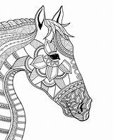 Horse Coloring Mandala Kleurplaten Pages Zentangle Head Colouring Volwassenen Doodle Animal Paarden Illustration Voor Dieren Kleurboeken Tekeningen Paard Canvas Template sketch template