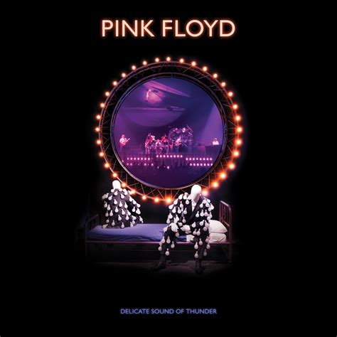pink floyd delicate sound of thunder 2019 remix live 2020 flac