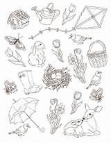Spring Drawing Onto Cottagechroniclesblog sketch template