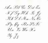 Alphabet Cursive Calligraphy Letters Letter Printable Writing Copperplate Handwriting Worksheets Modern Lettering Examples English Charts Alfabeto Calligraphic Print Cursiva Write sketch template