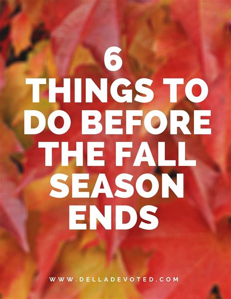 6 things to do before the fall season ends spooky movies before the