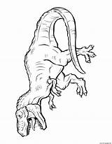 Giganotosaurus Coloring Fierce Dinosaur sketch template