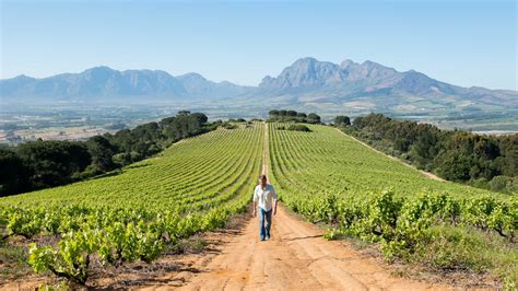 wine farms south africa discover      south africa