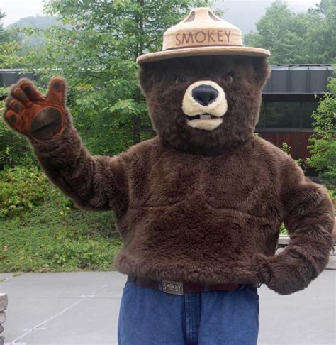 cradle  forestry  host smokey bears birthday party august  mountain xpress