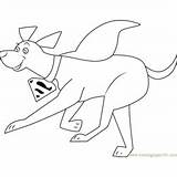 Krypto Coloring Pages Running Dog Super Coloringpages101 sketch template