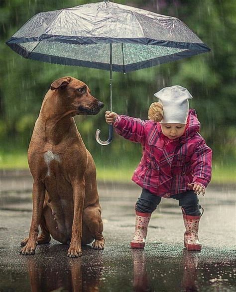 15 photos showing that kindness is in the little things