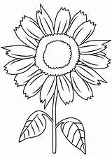 Sunflower Sunny Smile Coloring Printable Pages Categories Kids sketch template