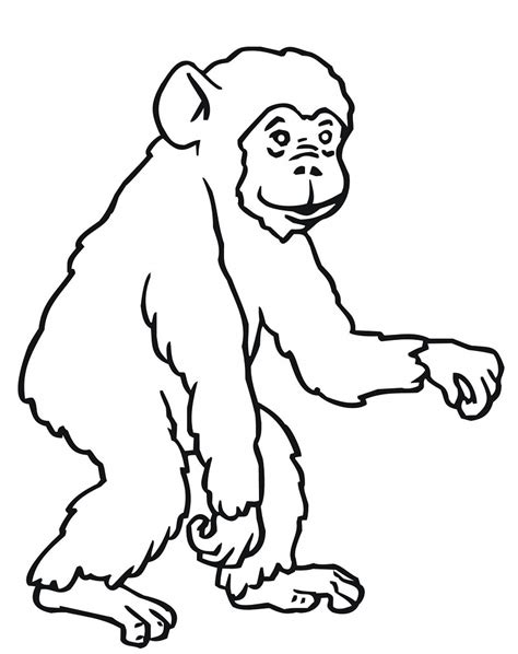 printable ape coloring pages elimu centre