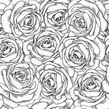 Line Roses Drawing Getdrawings sketch template