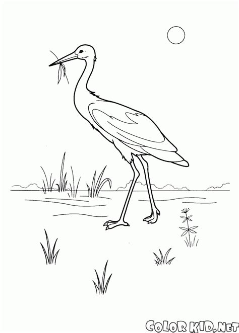 newest stork coloring page coloring pages wet