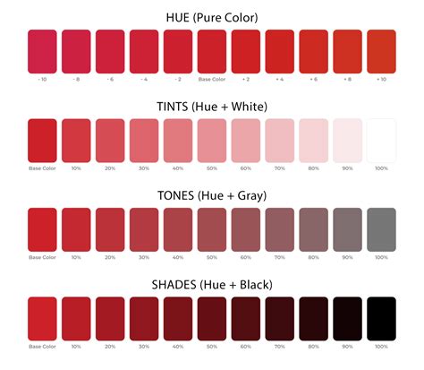 shade tint  tone    difference   color terms