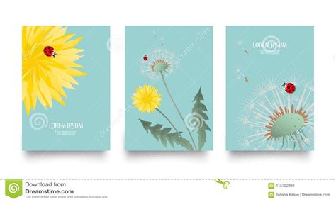 floral vector set of posters cards with dandelion