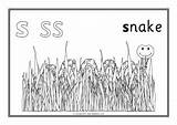 Colouring Phonics Sheets Sparklebox sketch template