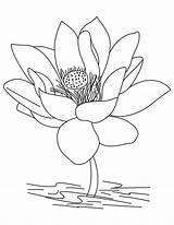 Lotus Flower Coloring Pages Jasmine Color Drawing Mandala Pencil Getcolorings Printable Getdrawings sketch template