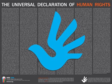 human rights posters