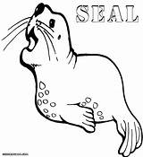 Seal Coloring Pages Sheet Colorings sketch template