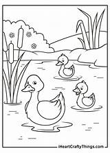 Duck Coloring Pages Printable Ducks Ducklings Little Iheartcraftythings Cute Yellow 2021 sketch template