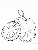 Grapefruit Fruit Riscos Almofadas Artesanais Pintura Coloriage sketch template