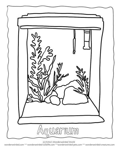 aquarium coloring page coloring home