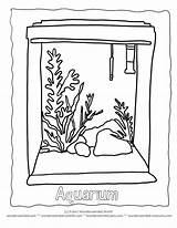 Aquarium Ausmalbilder Coloringhome Outline sketch template