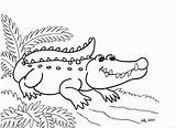 Crocodile Coloring Pages Clipart Colouring Printable Library sketch template