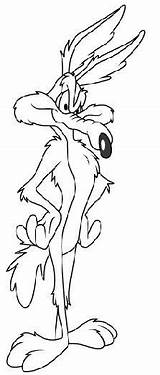 Coloring Pages Looney Tunes Coyote Cartoon Wile Para Colorear Road Imprimir Runner Characters A4 Disney Yosemite Sam Dibujos Book Cartoons sketch template