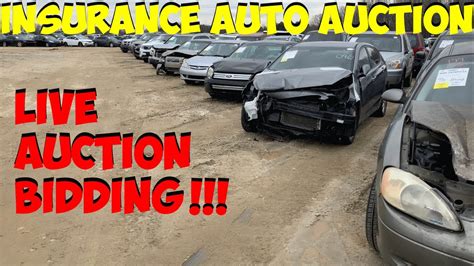 insurance auto auction  bidding carnage    youtube