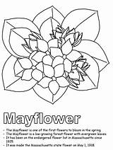 Coloring Nova Scotia Mayflower Massachusetts Flower State Pages Flag Outline Flowers Drawing May Clipart Printable Canadian Usa Canada Kidzone Ws sketch template