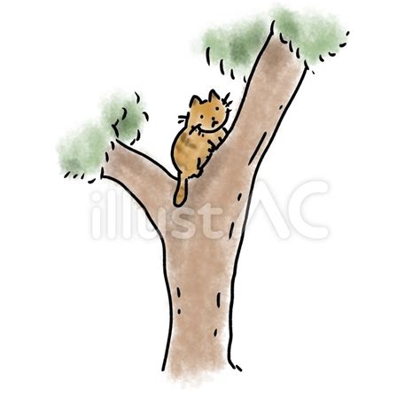 cat climbing tree clipart