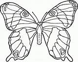 Colorear Mariposa Para Coloring Monarca Dibujo Tattoo sketch template