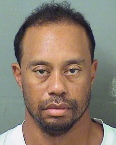 the recorder tiger woods says medication not alcohol