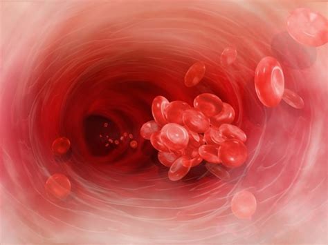 Causas De Los Coágulos De Sangre En La Menstruación Y Cómo