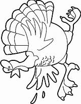 Feather Helpers Kolorowanki Indyk Turkeys Coloringhome sketch template