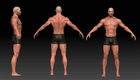 male body  model  poly obj fbx ztl tga  human poses reference