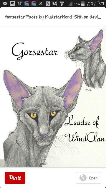 Gorsestar Warrior Cats Love Warriors Warrior